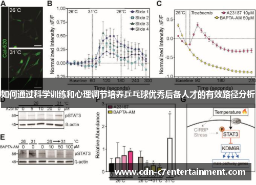 如何通过科学训练和心理调节培养乒乓球优秀后备人才的有效路径分析 如何通过科学训练和心理调节培养乒乓球优秀后备人才的有效路径分析