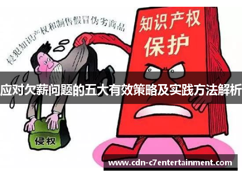 应对欠薪问题的五大有效策略及实践方法解析 应对欠薪问题的五大有效策略及实践方法解析