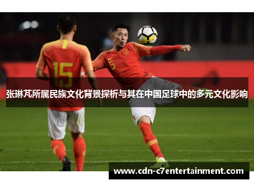 张琳芃所属民族文化背景探析与其在中国足球中的多元文化影响 张琳芃所属民族文化背景探析与其在中国足球中的多元文化影响