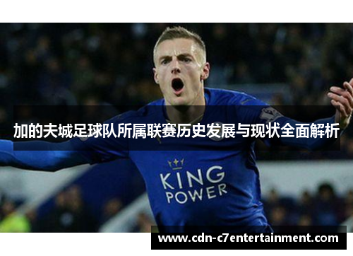 加的夫城足球队所属联赛历史发展与现状全面解析
