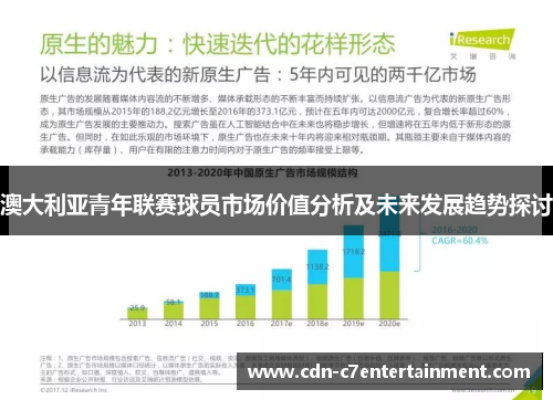 澳大利亚青年联赛球员市场价值分析及未来发展趋势探讨