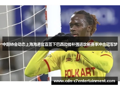 中超转会动态上海海港官宣签下巴西边锋补强进攻新赛季冲击冠军梦