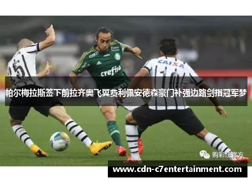 帕尔梅拉斯签下前拉齐奥飞翼费利佩安德森豪门补强边路剑指冠军梦