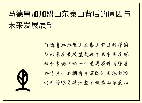 马德鲁加加盟山东泰山背后的原因与未来发展展望 马德鲁加加盟山东泰山背后的原因与未来发展展望