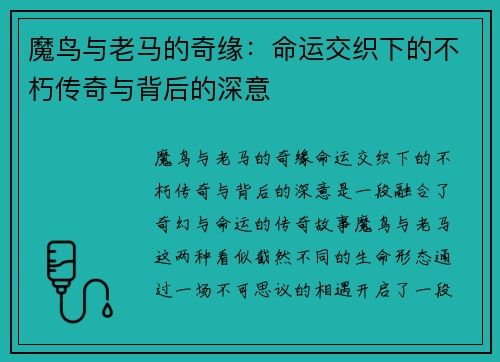魔鸟与老马的奇缘：命运交织下的不朽传奇与背后的深意